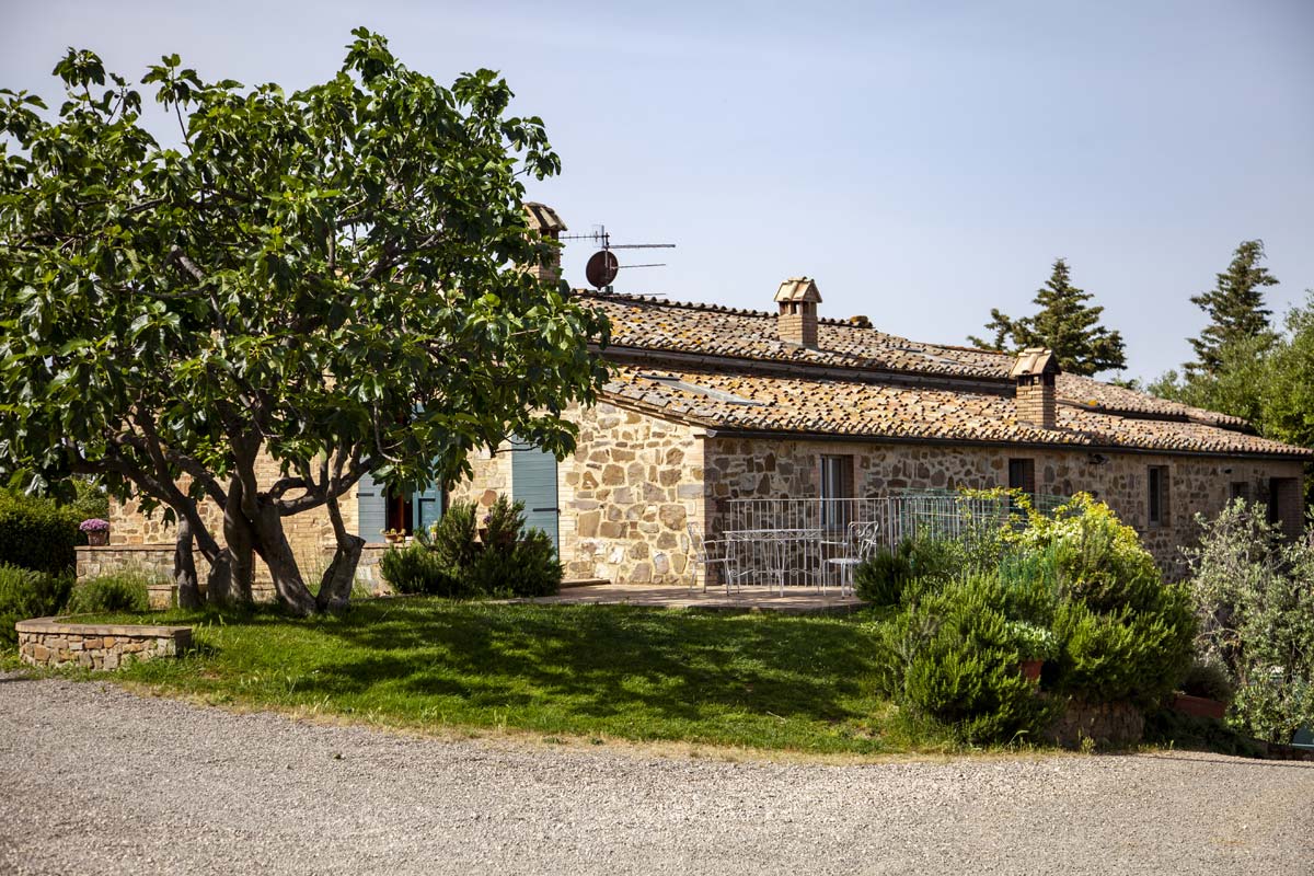 azienda agricola collemattoni