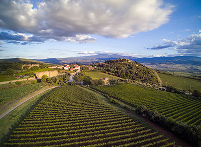 azienda agricola collemattoni