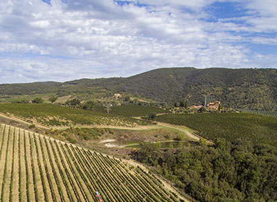 azienda agricola collemattoni