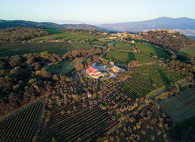 azienda agricola collemattoni