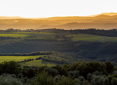 azienda agricola collemattoni