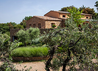 azienda agricola collemattoni